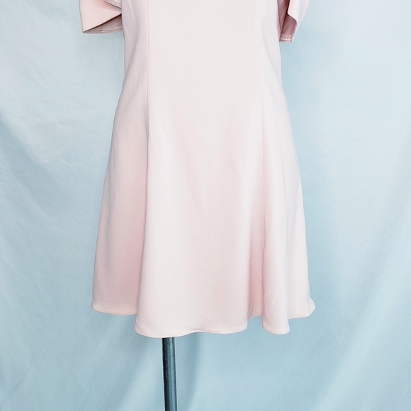 JayGodfrey Ruffle Sleeve Fit & Flare Dress Pink - Picture 3 of 13